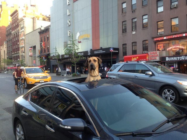 Well hello there. Craig Nelson 2013.