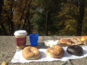 Enjoying an Absolute Bagels morning snack in Riverside Park. Craig Nelson, 2013.