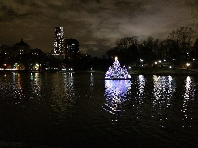 The floating tree reflecting off the meer. Photo: Craig Nelson