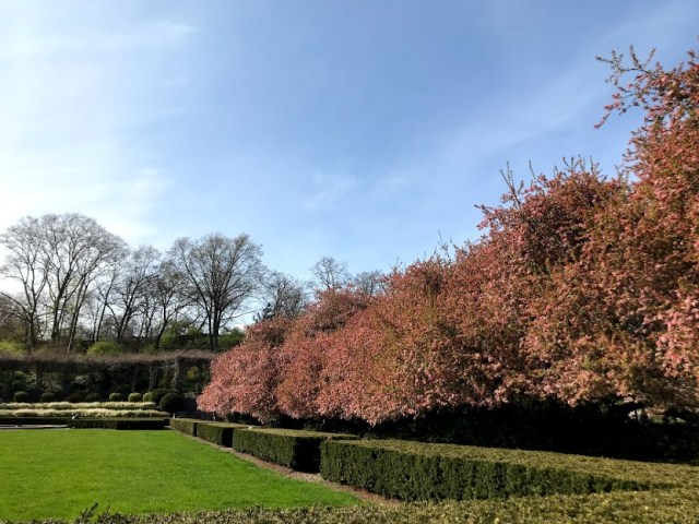 Conservatory Garden 1