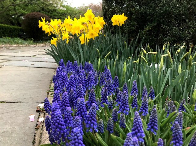 Conservatory Garden 2