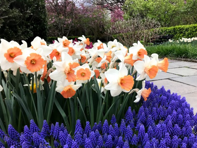 Conservatory Garden 3