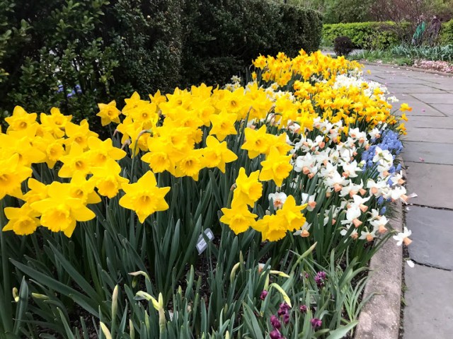 Conservatory Garden 4